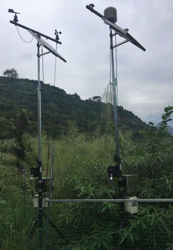 成都龍泉精品園病蟲害防治-四川成都